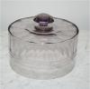 Amethyst Glass 19th Century Cloche
