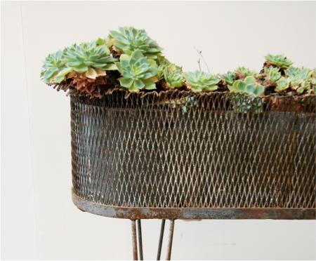 French Tôle Jardiniere