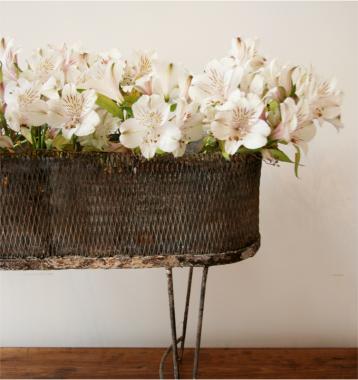 French Tôle Jardiniere